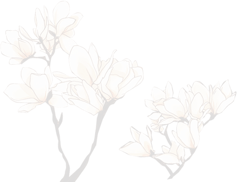 lotus flower