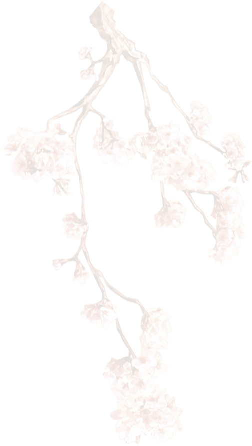 branch